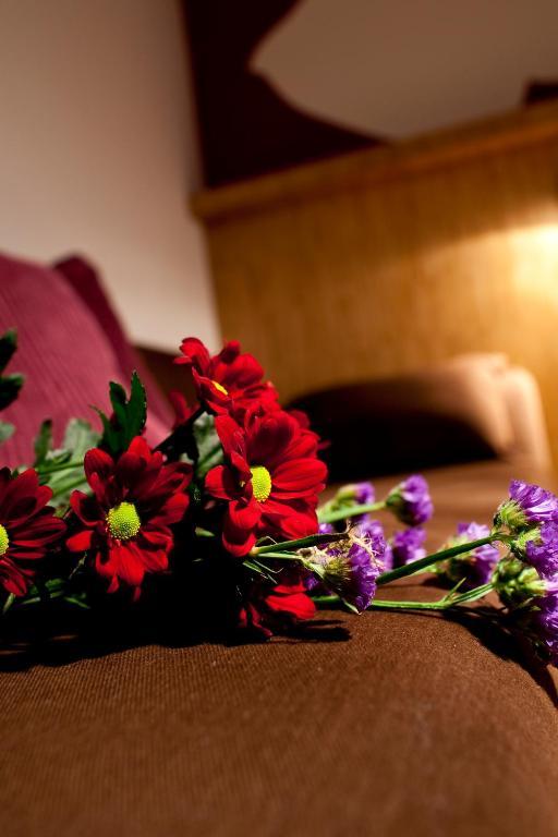 Dahlia Inn Prague Bilik gambar